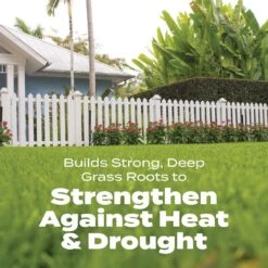 Scotts Turf Builder Bonus S Weed & Feed Lawn Fertilizer For Multiple Grass Types 10000 Sq Ft -Garden Tool Store 0cc44364 64ee 4091 b0ba 30ddc9edea87