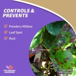 Bonide Sulfur Organic Concentrated Dust Fungicide 4 Lb -Garden Tool Store 12164408 ec07 4f44 969b bf3ef38cc43b