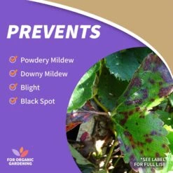 Bonide Organic Liquid Fungicide 32 Oz -Garden Tool Store 21926f0b d5ee 418c aaca bbef36e924b3