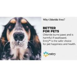 Branch Creek Entry Blended Pet Friendly Liquid Ice Melt 2.5 Gal -Garden Tool Store 23862581 3cd3 4111 81d4 4502b8597f20