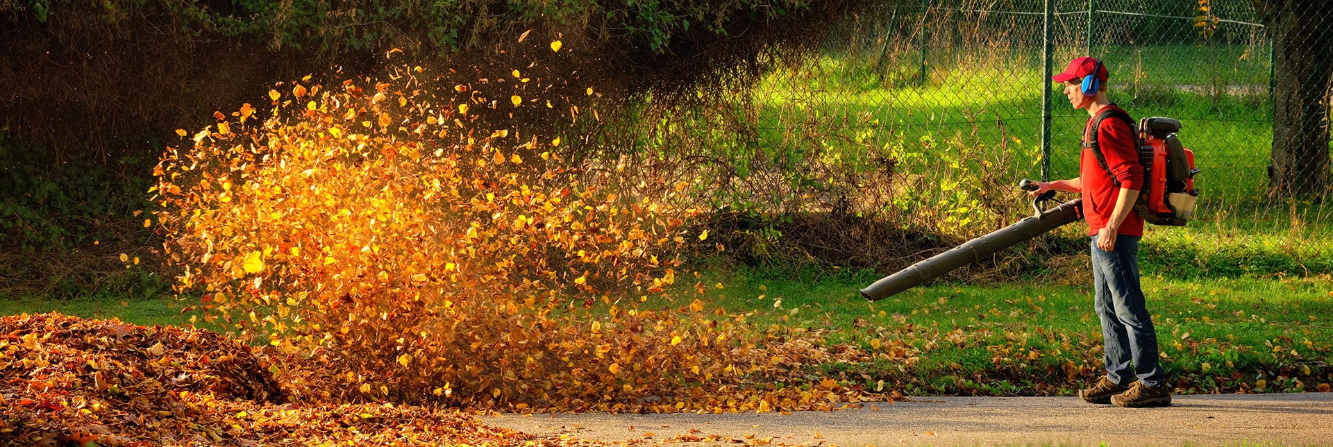 Garden Tool Store -Garden Tool Store 3