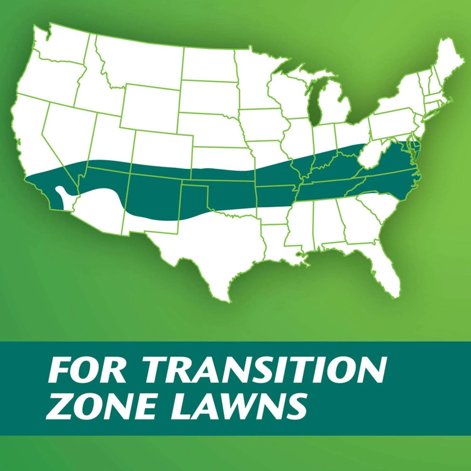 Scotts Turf Builder Tall Fescue Grass Dense Shade Grass Seed 7 Lb 5 Scotts Turf Builder Tall Fescue Grass Dense Shade Grass Seed 7 Lb - Image 3