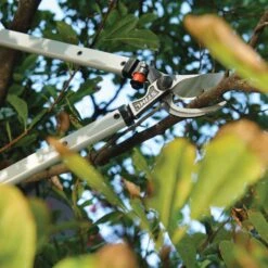 STIHL PL 10 24 In. Steel Lopper -Garden Tool Store 31b1c4cc 0973 4fcb 81eb 0087d5b32ad0