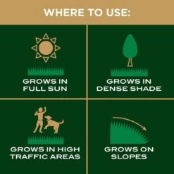 Scotts EZ Seed Mixed Sun Or Shade Fertilizer/Mulch/Seed 10 Lb -Garden Tool Store 4e1dd4fc 6c3e 4cf2 b38f 3829f01fc914