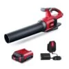 Toro 51821 110 Mph 565 CFM 60 V Battery Handheld Leaf Blower Kit (Battery & Charger) -Garden Tool Store 501e6db8 f238 4784 9d3e 24c97e3d5f0f