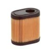 Arnold Air Filter For 36905 1 Arnold Air Filter For 36905 -Garden Tool Store 6077c75a 1b35 4bc8 945c a5bf3a22a29a
