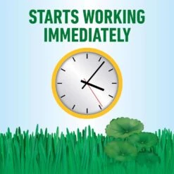 Roundup Weed Killer Concentrate 32 Oz 18 Roundup Weed Killer Concentrate 32 Oz -Garden Tool Store 72425366 a79f 40f2 b3f1 12916e885b32