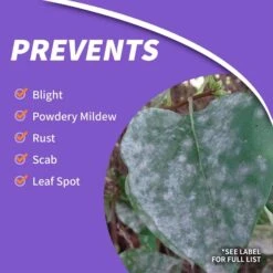 Bonide Infuse Concentrated Liquid Disease Control 16 Oz -Garden Tool Store 72e22a14 d0f4 4463 bac7 adbfc121dd69