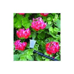 Solo 0.5 Gal Hand Held Pump Sprayer -Garden Tool Store 765c4efb d74f 4524 823c f488d0ff0ca0