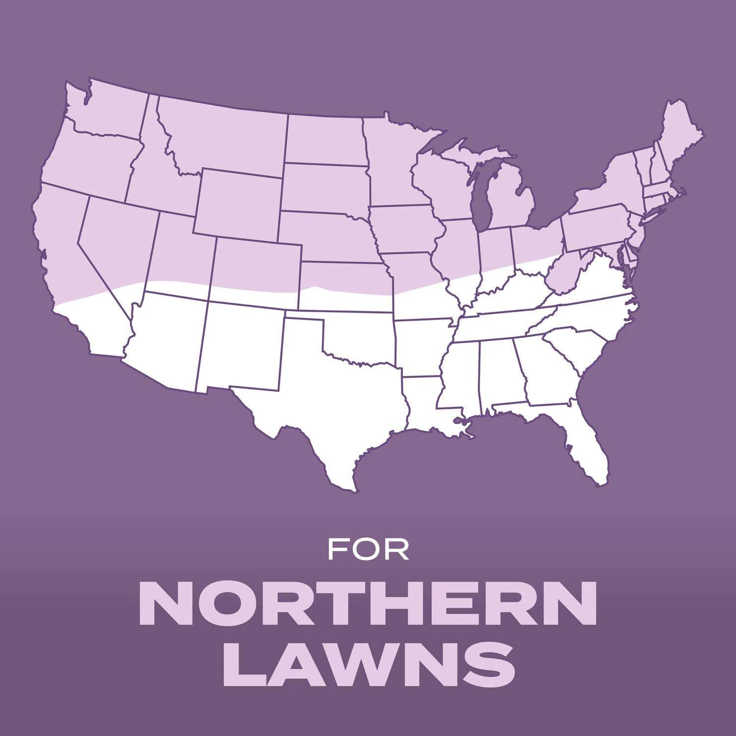 Scotts Turf Builder Perennial Ryegrass Sun Or Shade Fertilizer/Seed/Soil Improver 2.4 Lb 8 Scotts Turf Builder Perennial Ryegrass Sun Or Shade Fertilizer/Seed/Soil Improver 2.4 Lb - Image 6