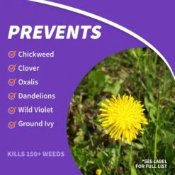 Bonide Chickweed Killer RTU Liquid 128 Oz -Garden Tool Store 8196187b 85d2 41ed 9028 d399988b7322