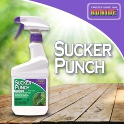 Bonide Sucker Punch Tree Roots Killer RTU Liquid 16 Oz -Garden Tool Store 84f5b283 0e62 47bf ad2a f4b6657f408f