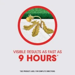 Roundup Weed And Grass Killer Concentrate 36.8 Oz -Garden Tool Store 8cee5d86 8efa 44d5 9e16 1c9b182a3643