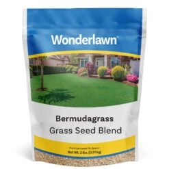Barenbrug Wonderlawn Bermuda Grass Full Sun Grass Seed 2 Lb