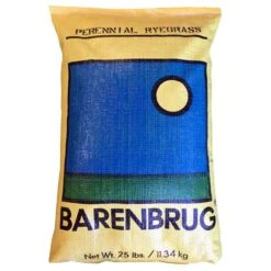 Barenbrug Perennial Ryegrass Full Sun Grass Seed 25 Lb