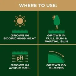 Scotts EZ Seed Centipede Grass Sun Or Shade Grass Spot Repair Seed 10 Lb -Garden Tool Store 97fdb8b7 bf83 4315 9f70 c063fbb17cd4