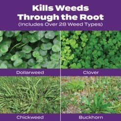 Scotts Turf Builder Bonus S Weed & Feed Lawn Fertilizer For Multiple Grass Types 10000 Sq Ft -Garden Tool Store 9da67877 fc22 4741 be0d 6416b854cd76