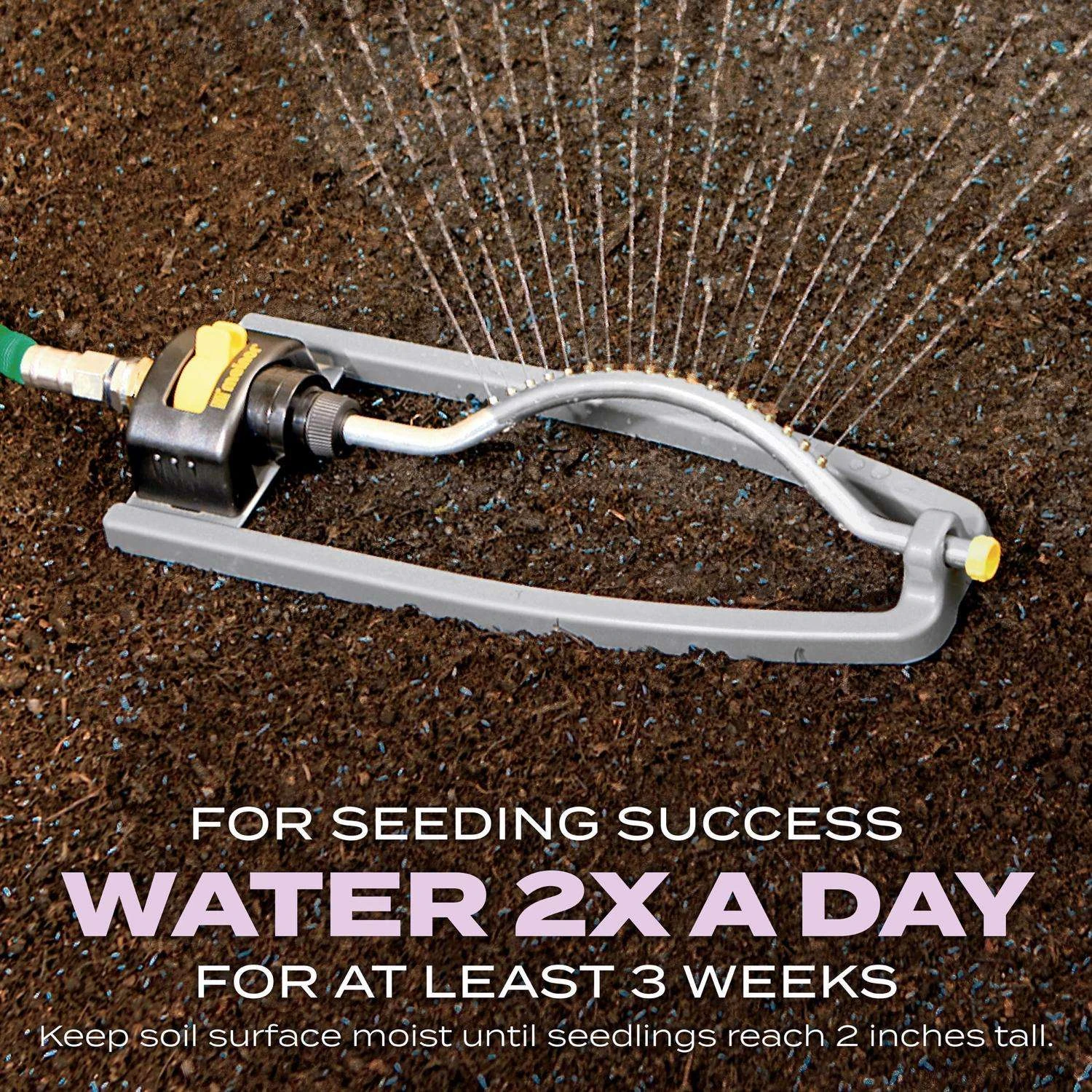 Scotts Turf Builder Perennial Ryegrass Sun Or Shade Fertilizer/Seed/Soil Improver 2.4 Lb 9 Scotts Turf Builder Perennial Ryegrass Sun Or Shade Fertilizer/Seed/Soil Improver 2.4 Lb - Image 7