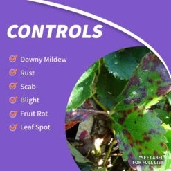 Bonide Mancozeb Concentrated Liquid Disease Control 16 Oz -Garden Tool Store ab44e4c9 a8fa 4438 ac44 fec273cebcdd