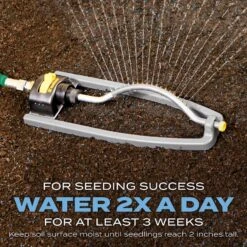 Scotts Turf Builder Kentucky Bluegrass Sun Or Shade Fertilizer/Seed/Soil Improver 2.4 Lb -Garden Tool Store b7e02096 dd7f 4e97 b567 c992853d54aa