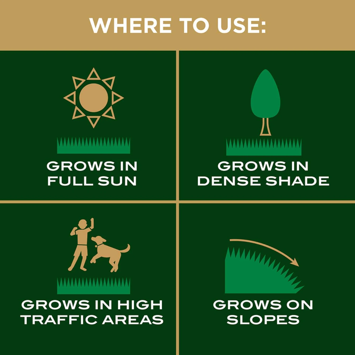 Scotts EZ Seed Tall Fescue Grass Sun Or Shade Seed/Fertilizer/Mulch Repair Kit 3.75 Lb 5 Scotts EZ Seed Tall Fescue Grass Sun Or Shade Seed/Fertilizer/Mulch Repair Kit 3.75 Lb - Image 3