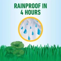 Roundup Weed Killer Concentrate 32 Oz 19 Roundup Weed Killer Concentrate 32 Oz -Garden Tool Store c5545540 64fd 4676 a330 6b72e5c9f12c