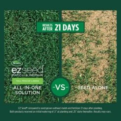 Scotts EZ Seed Tall Fescue Grass Sun Or Shade Seed/Fertilizer/Mulch Repair Kit 3.75 Lb 15 Scotts EZ Seed Tall Fescue Grass Sun Or Shade Seed/Fertilizer/Mulch Repair Kit 3.75 Lb -Garden Tool Store ce768043 d6e5 4a7f 9ed0 04aeea575bbd