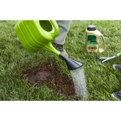 Scotts EZ Seed Tall Fescue Grass Sun Or Shade Seed/Fertilizer/Mulch Repair Kit 3.75 Lb 16 Scotts EZ Seed Tall Fescue Grass Sun Or Shade Seed/Fertilizer/Mulch Repair Kit 3.75 Lb -Garden Tool Store e98ceac4 aa9a 43bd 9469 b36d8502a868