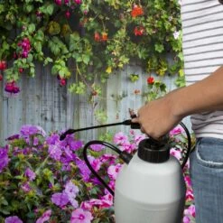 Spectracide Immunox Concentrated Liquid Garden Fungicide 16 Oz 9 Spectracide Immunox Concentrated Liquid Garden Fungicide 16 Oz -Garden Tool Store ebf5d511 fcac 4ac3 a9f3 11a0c88b4274