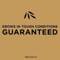 Scotts EZ Seed Centipede Grass Sun Or Shade Grass Spot Repair Seed 10 Lb -Garden Tool Store f0f8bfab d307 477a 924d 2ba95df0d133