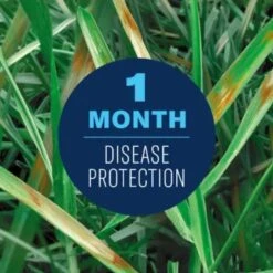 BioAdvanced Concentrated Liquid Fungicide 32 Oz -Garden Tool Store f112fe26 a2ff 4bd7 b135 0121673c5d04