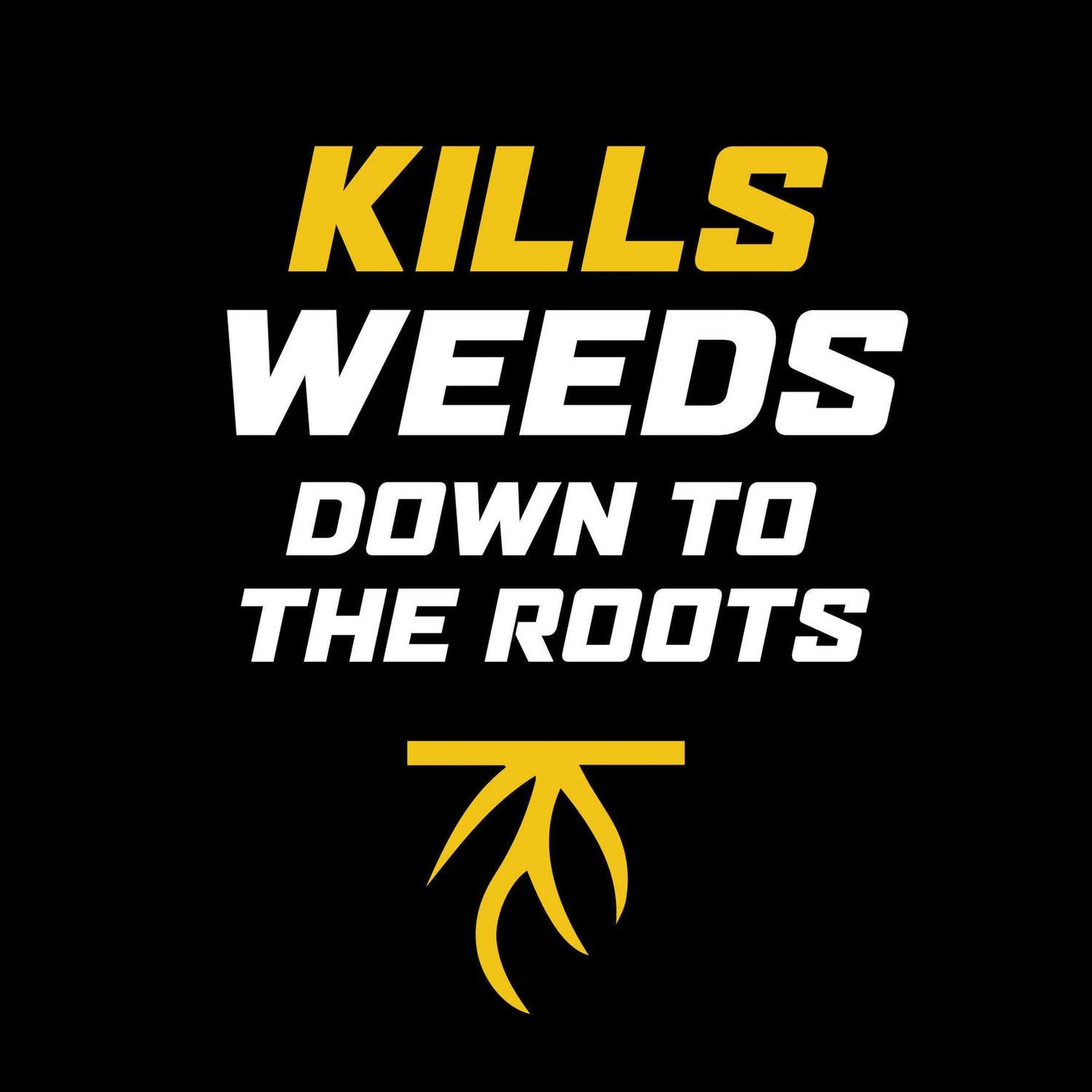 Ortho WeedClear Weed Killer Concentrate 1 Gal 6 Ortho WeedClear Weed Killer Concentrate 1 Gal - Image 4