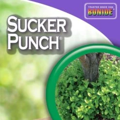 Bonide Sucker Punch Tree Roots Killer RTU Liquid 16 Oz -Garden Tool Store fc5caaea 7320 4d0c 9716 f21ab7b80e40
